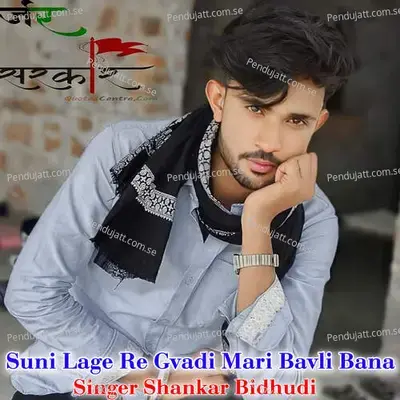 Suni Lage Re Gvadi Mari Bavli Bana - Shankar Bidhudi album cover 