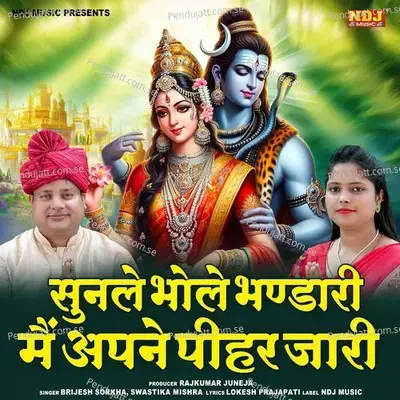 Sunle Bhole Bhandari Mai Apne Pihar Jari - Brijesh Sorkha album cover 