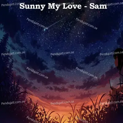 Sunny My Love - Sam album cover 