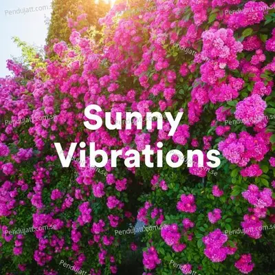 Sunny Vibrations - Various Artists cover album