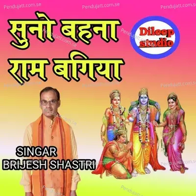 Suno Bahna Ram Bagiya - Brijesh Shastri album cover 