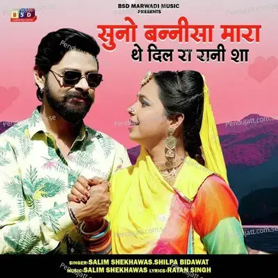 Suno Bannisa Mara The Dil Ra Rani Sha - Salim Shekhawas album cover 