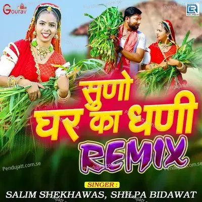 Suno Ghar Ka Dhani Remix - Salim Shekhawas album cover 