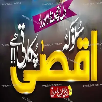 Suno Ke Aqsa Pukaar Ti Hai - Hafiz Salahuddin Al Maroofi album cover 