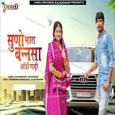 Suno Mhara Bannasa Audi Gaadi - Salim Shekhawas album cover 