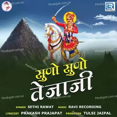 Suno Suno Tejaji - Sethi Rawat album cover 