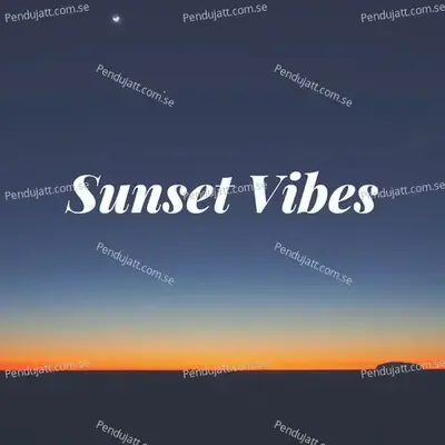 Sunset Vibes - Various Artists cover album