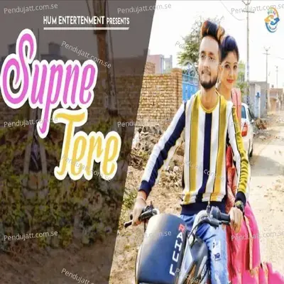 Super Tere - Vandna Jangid album cover 