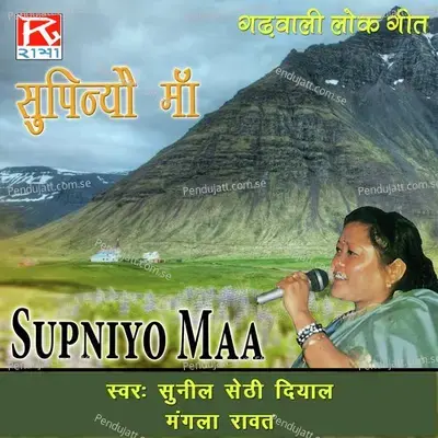 Dandiyo Ki Murli - Sunil Sethi Dayal album cover 