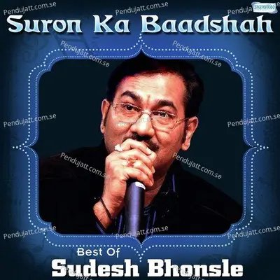 Ude Ude Hain - Sudesh Bhosle album cover 