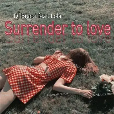 Surrender To Love - DJ Bracci album cover 