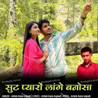 Sut Pyaro Lage Banosa - Ashok Rana Gopadi album cover 