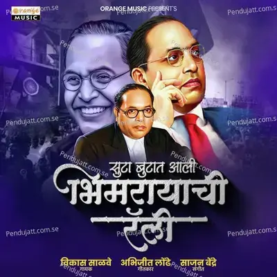 Suta Butat Aali Bhimrayachi Rally - Vikas Salve album cover 