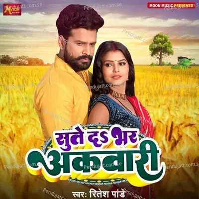 Sute Da Bhar Akawari - Ritesh Pandey album cover 