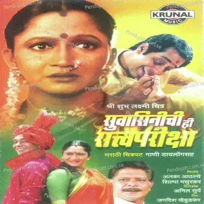 Vadhadivas Hay Sahebancha - Sanjay Gite album cover 