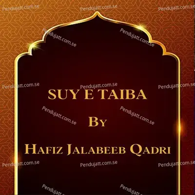 Suy E Taiba - Hafiz Jalabeeb Qadri album cover 