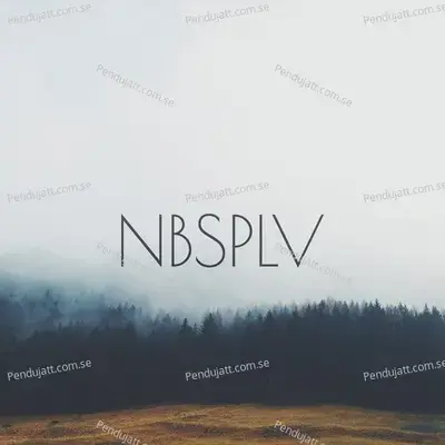 Swallow - NBSPLV album cover 