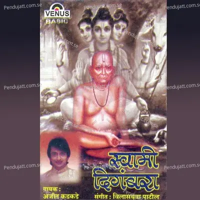 Swami Digambara - Ajit Kadkade cover album