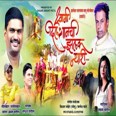 Swami Dilshanchi Zalak Nyari - Sapna Anant Patil album cover 