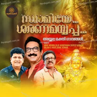 Irumudi - Biju Narayanan album cover 