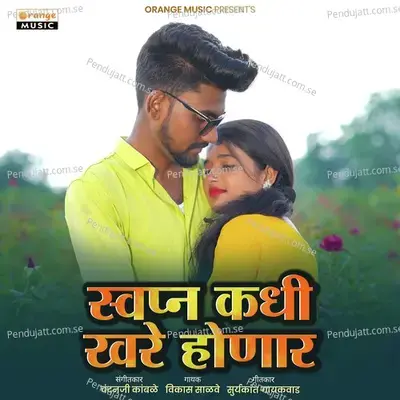 Swapn Kadhi Khare Honar - Vikas Salve album cover 