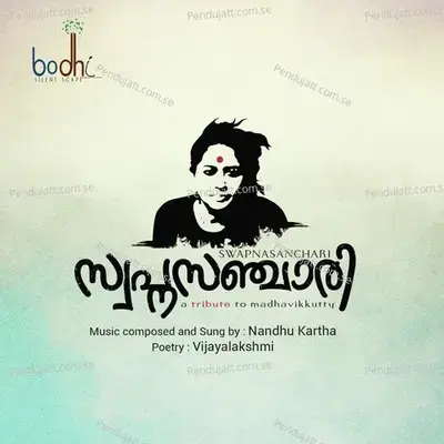 Neermaathalathinte Chilla Mel - Nandhu Kartha album cover 