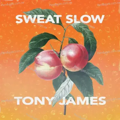 Sweat Slow - Tony James album cover 