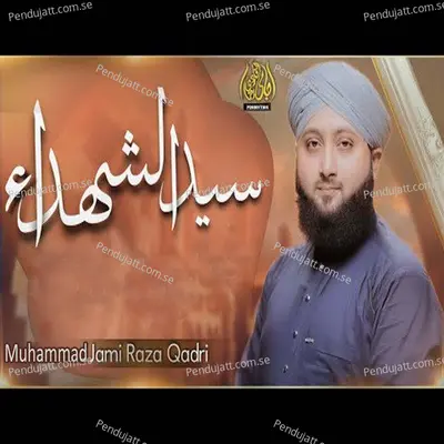 Manqabat Ameer Hamza - Muhammad Jami Raza Qadri album cover 