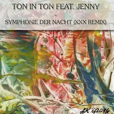 Symphonie Der Nacht - Ton in Ton album cover 