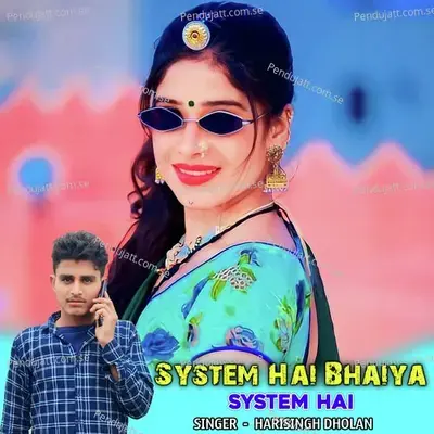 System Hai Bhaiya System Hai - Harisingh dholan album cover 