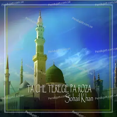 Ta Che Terege Pa Roza - Sohail Khan album cover 