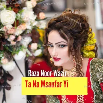 Tekat Mi Wakro Saudia Di Mo Nait Sho - Raza Noor Wazir album cover 