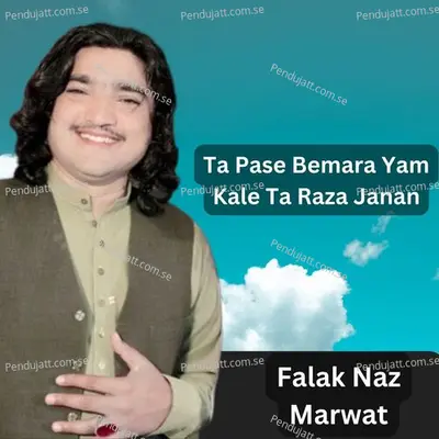 Ta Pase Bemara Yam Kale Ta Raza Janan - Falak Naz Marwat album cover 