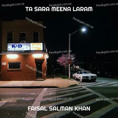 Ta Sara Meena Laram - Faisal Salman Khan album cover 