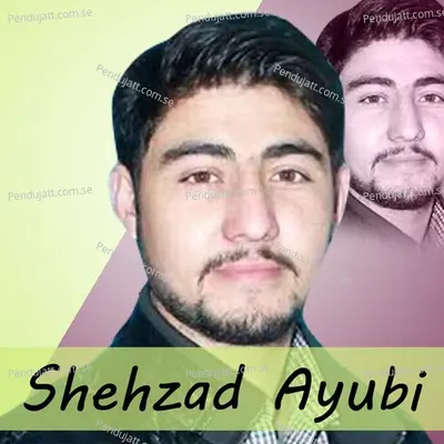 Ta Tan Ma Hardi Reman - Shehzad Ayubi album cover 