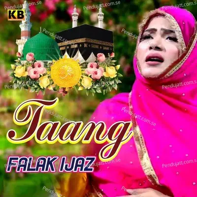 Taang - Falak Ijaz album cover 