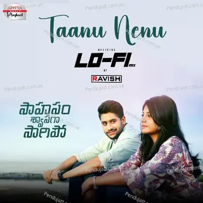 Taanu Nenu - Lofi Mix - Vijay Prakash album cover 