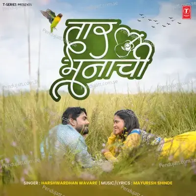 Taar Manachi - Harshavardhan Wavare album cover 