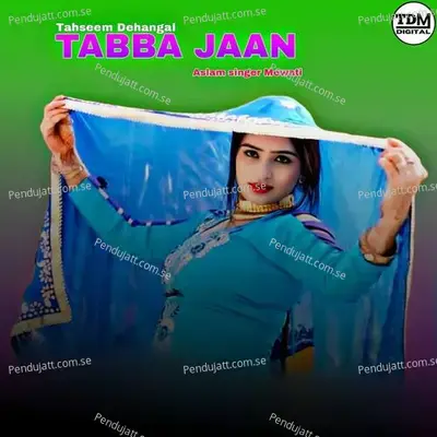 Tabba Jaan - Aslam Singer Mewati album cover 