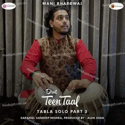 Tabla Solo Drut Teen Taal - Mani Bhardwaj album cover 