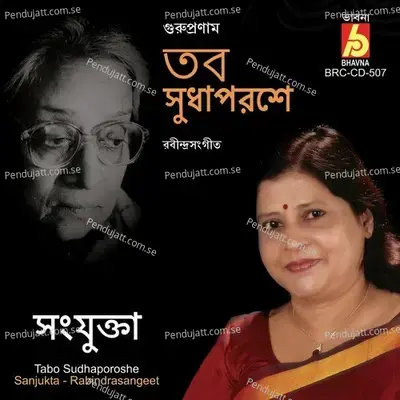 Ami I Sudhu Roinu Baki - Sanjukta album cover 