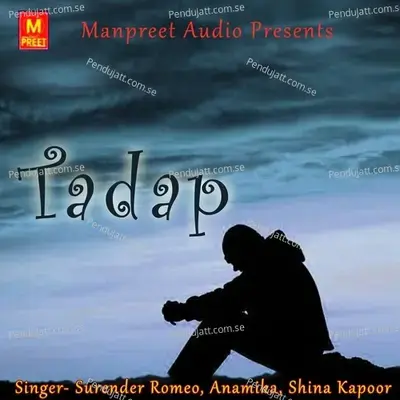 Lad Karniye Marge - Surender Romeo album cover 