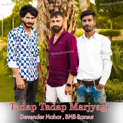 Tadap Tadap Marjyagi - Devender Mahor album cover 