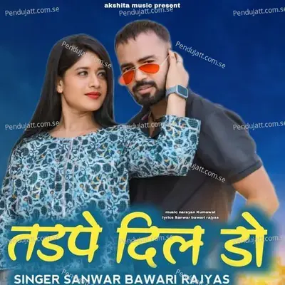 Tadpe Dildo - sanwar bawari rajyas album cover 