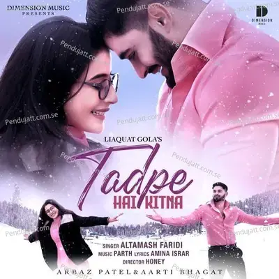 Tadpe Hai Kitna - Altamash Faridi album cover 