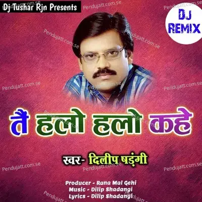 Tai Hello Hello Kahe Dj Remix| तैं हैलो हैलो कहे - Dilip Shadangi album cover 