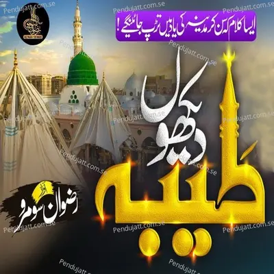 Taiba Dekhoon - Rizwan Soomro album cover 