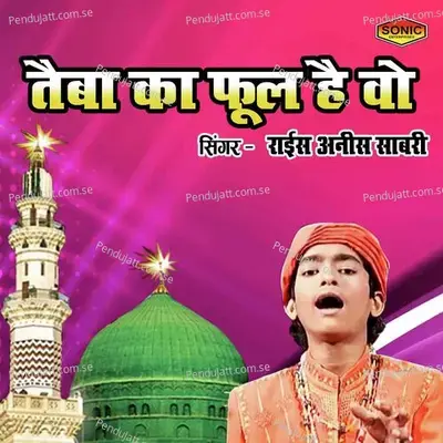 Taiba Ka Phool Hai Wo - Rais Anis Sabri album cover 