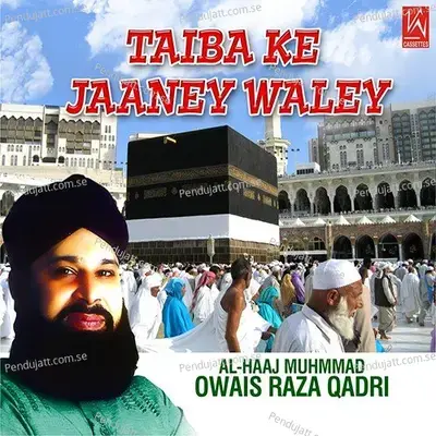 Mere Nabi Ka Roza - Alhaaj Owais Raza Qadri album cover 