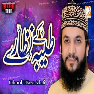 Taiba Ke Nazaray - Mahmood Ul Hassan Ashrafi album cover 